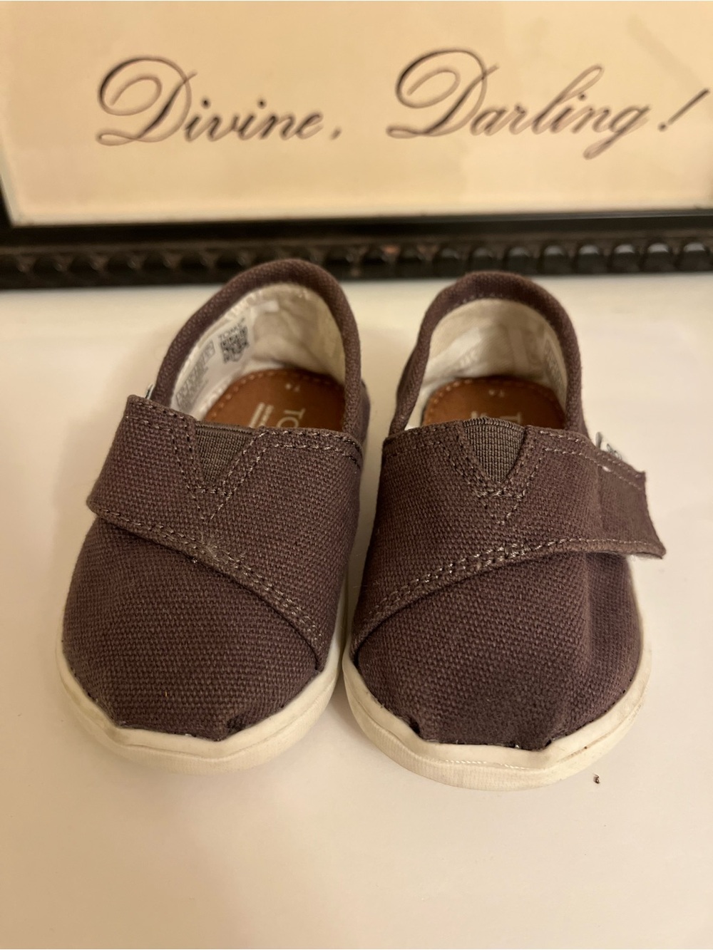 Toms Toddler Slip-On Shoes in Dark Brown Canvas - Size T4